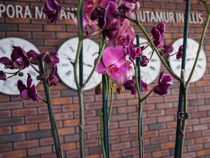 Manufactura Design-Hotel Khodosivka エクステリア 写真